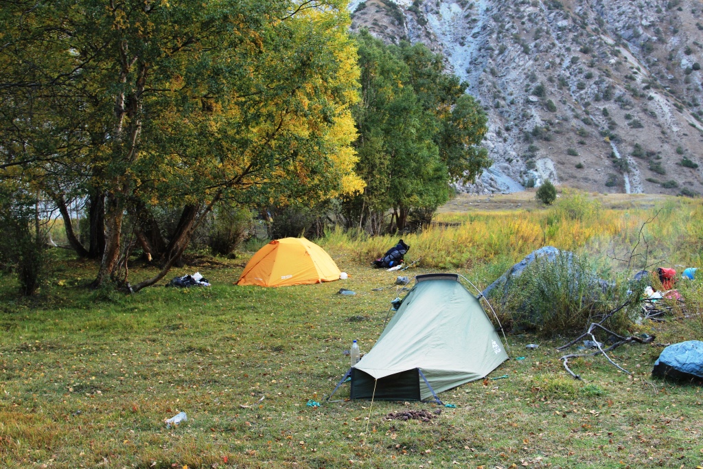 Bukhara Ibex accommodation